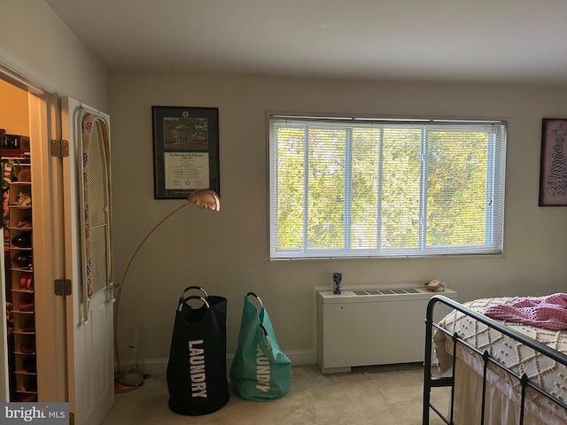 clothes washing area with light carpet