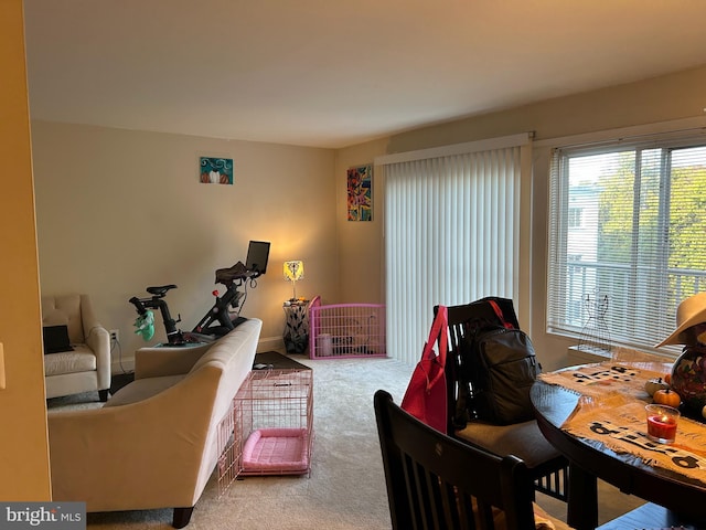 view of carpeted living room