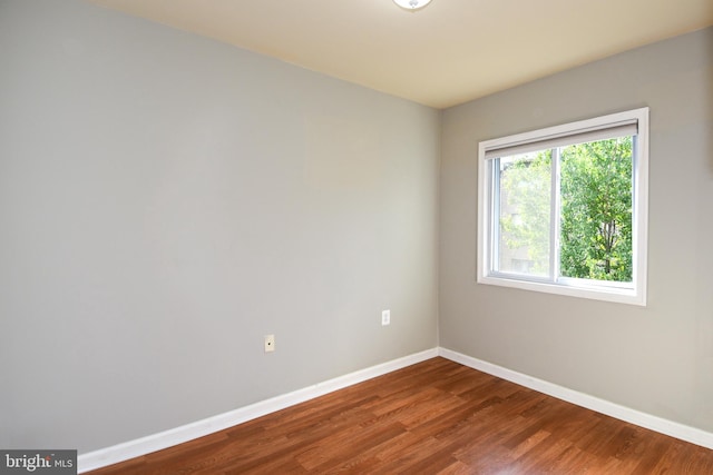 empty room featuring wood-type flooring