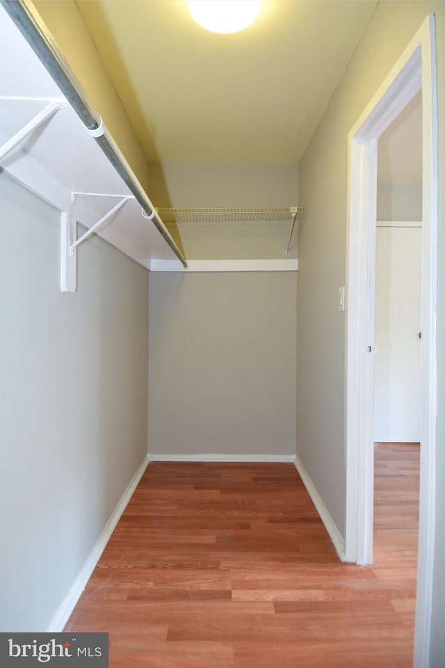 walk in closet with hardwood / wood-style flooring