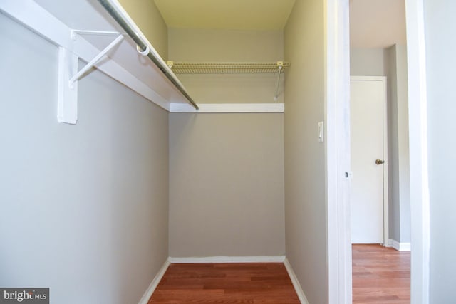 walk in closet with hardwood / wood-style flooring