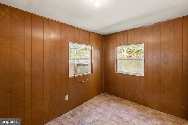 empty room with wooden walls, carpet flooring, and plenty of natural light