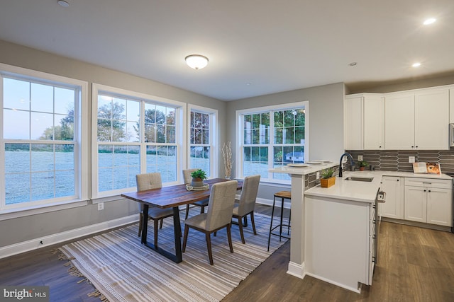 dining room with sink, dark hardwood / wood-style floors, and a healthy amount of sunlight