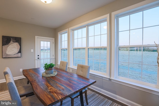 dining room featuring dark wood-type flooring