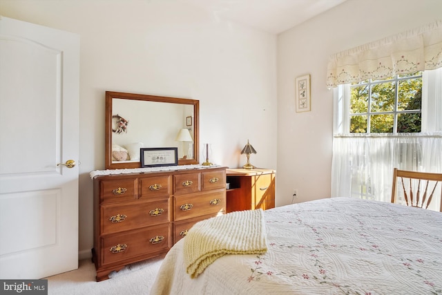 29748 Lyons Dr, Easton, MD 21601 - bedroom featuring light carpet
