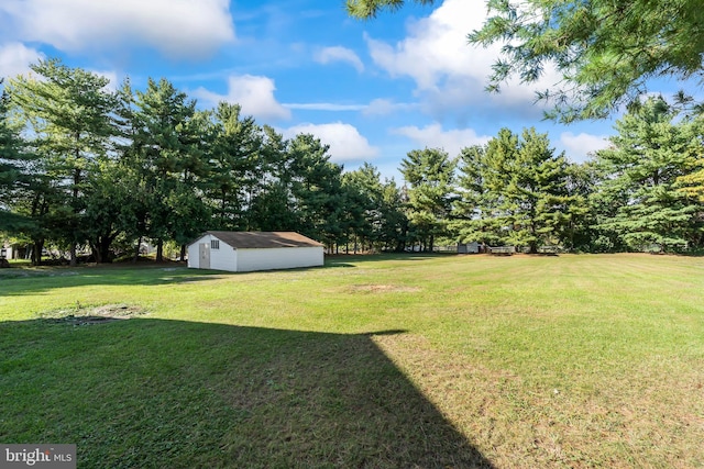 view of yard with a storage shed