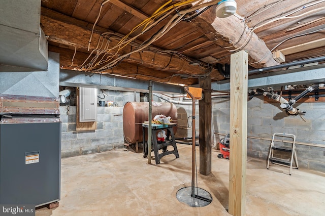 basement featuring electric panel