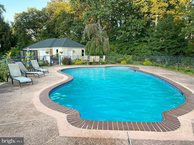 view of pool with a patio area