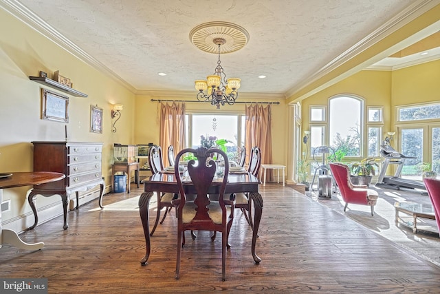 dining space with ornamental molding, hardwood / wood-style floors, and a healthy amount of sunlight