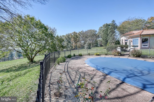 view of swimming pool with a patio area and a lawn