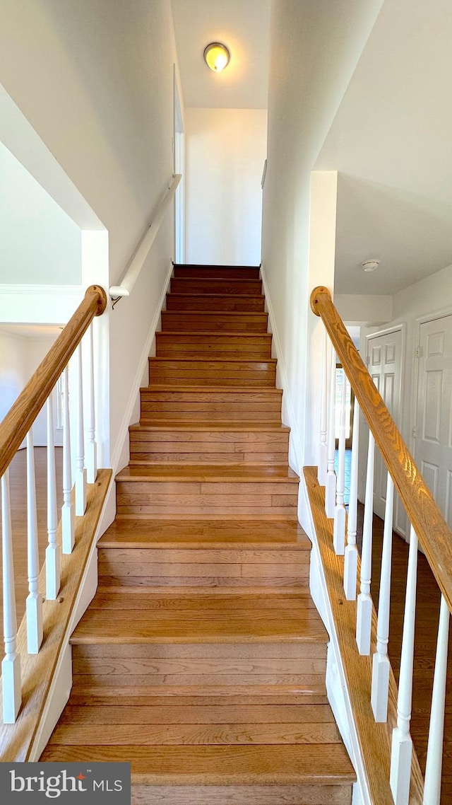 staircase with hardwood / wood-style floors