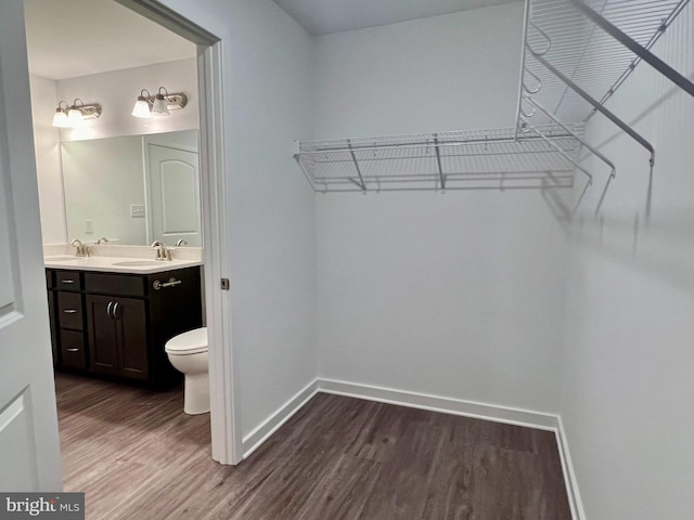 spacious closet featuring sink and dark hardwood / wood-style floors