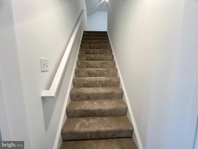 staircase with carpet flooring