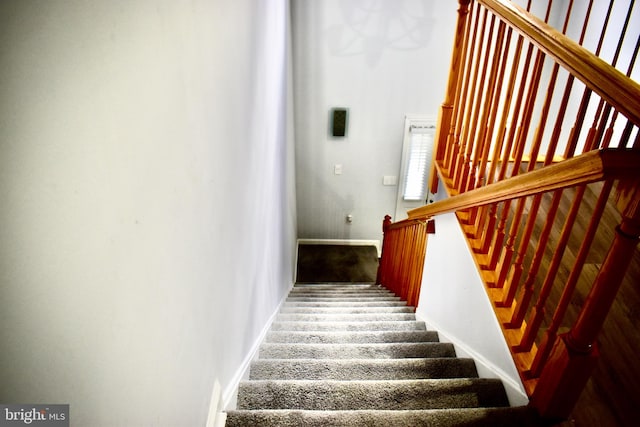 stairway with hardwood / wood-style flooring