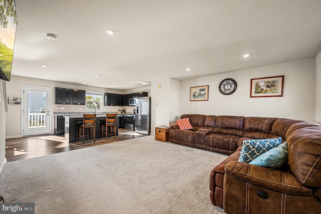 living room featuring hardwood / wood-style flooring and sink