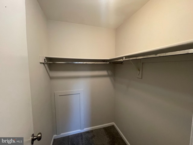 spacious closet with carpet flooring