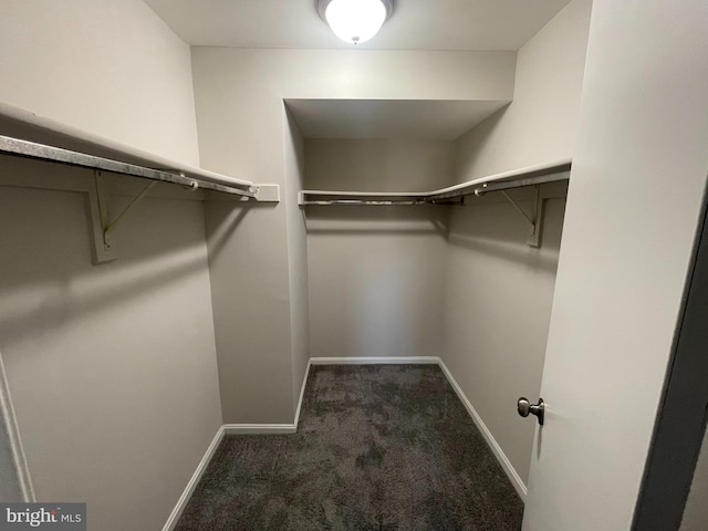 walk in closet featuring dark colored carpet