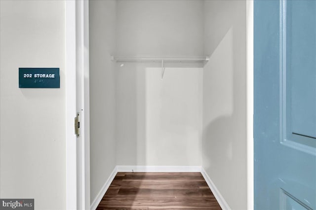 spacious closet featuring dark hardwood / wood-style flooring