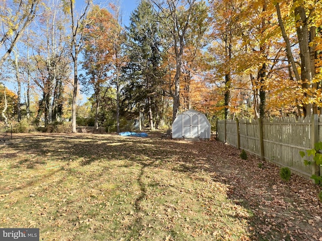 view of yard featuring a shed