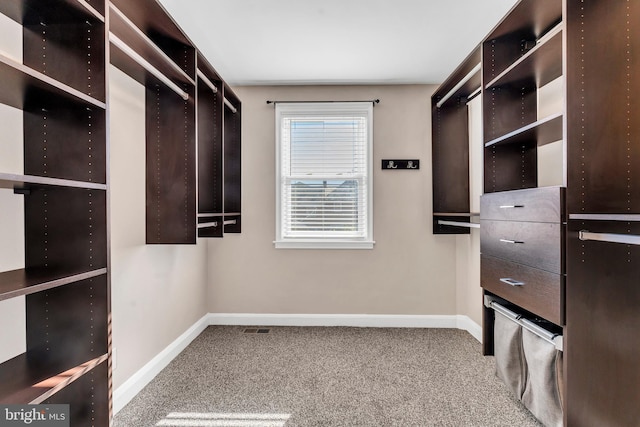 walk in closet featuring carpet