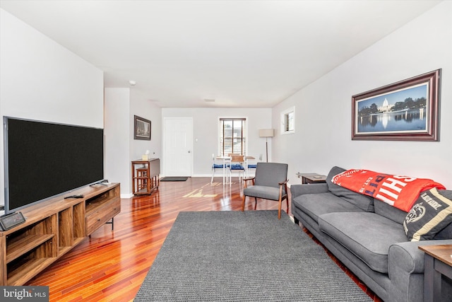 living room featuring wood-type flooring