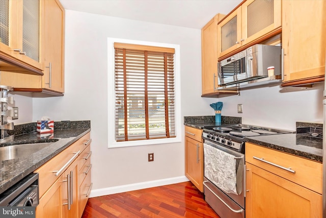 kitchen featuring appliances with stainless steel finishes, dark stone countertops, sink, and dark wood-type flooring