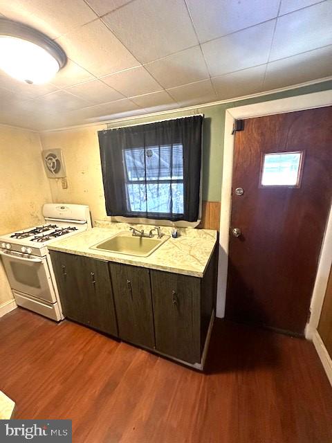 kitchen featuring dark wood-type flooring, white gas stove, dark brown cabinets, and sink