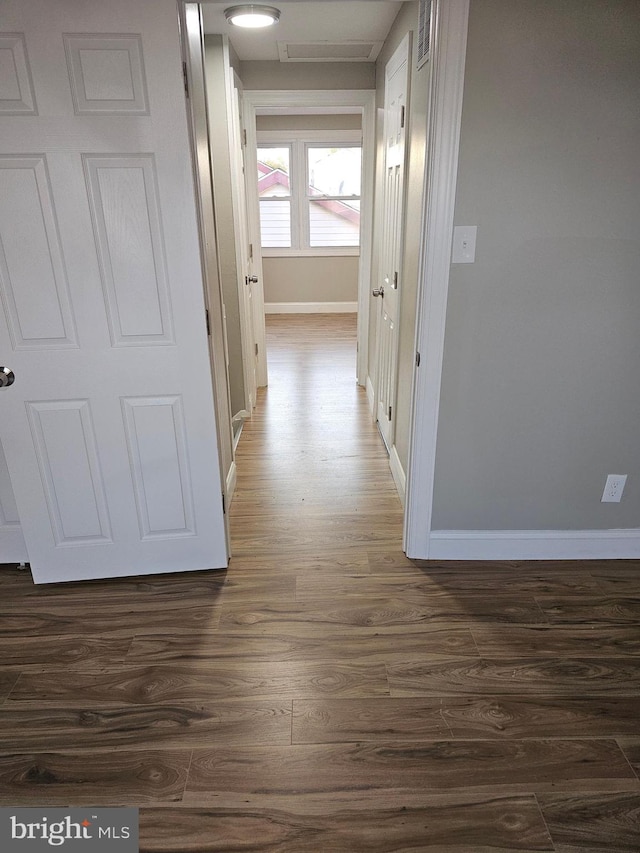 hallway featuring dark wood-type flooring