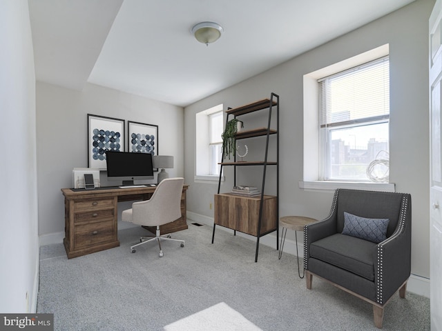 carpeted office space featuring a healthy amount of sunlight