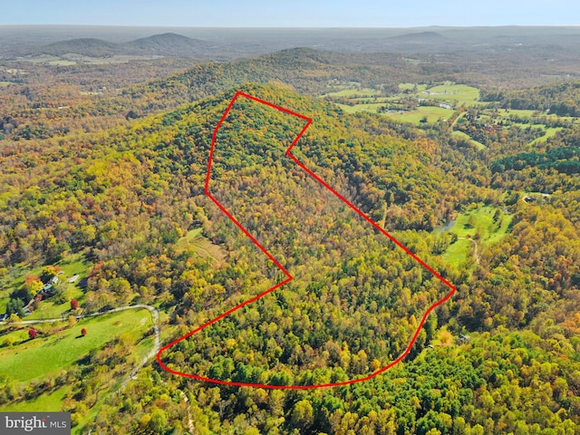 Long Mountain Rd, Washington VA, 22747 land for sale