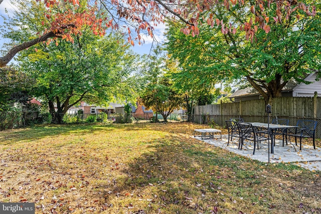 view of yard featuring a patio area