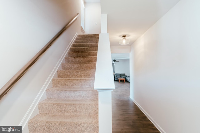 staircase with wood-type flooring