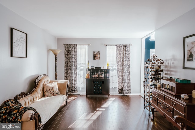 living area with dark wood-type flooring