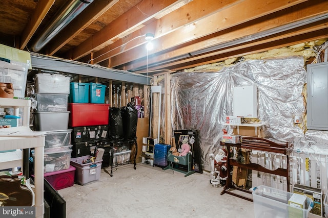 basement featuring electric panel