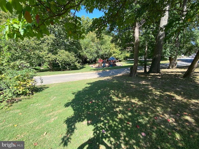 view of yard featuring a playground