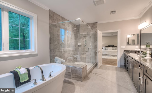 bathroom featuring vanity, ornamental molding, a wealth of natural light, and plus walk in shower