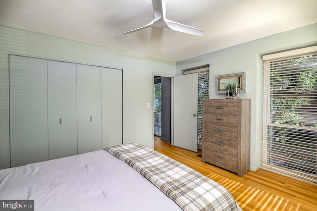 bedroom with ceiling fan and light hardwood / wood-style flooring