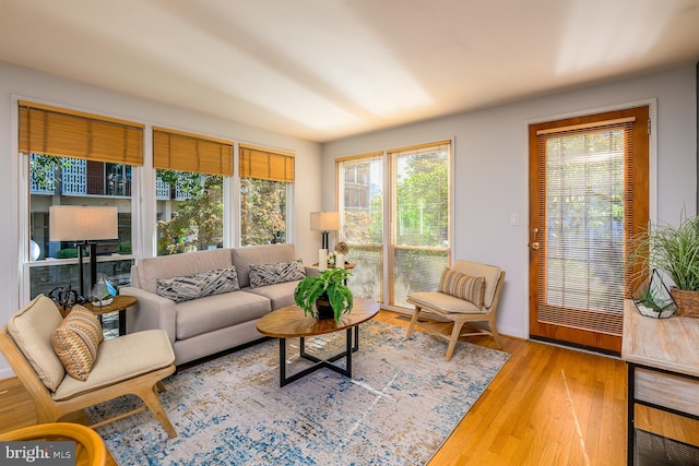 living room featuring a wealth of natural light and wood-type flooring