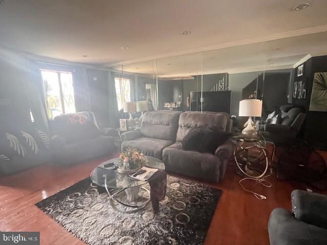 living room with wood-type flooring