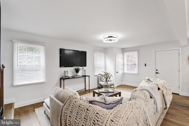 living room with hardwood / wood-style floors and plenty of natural light