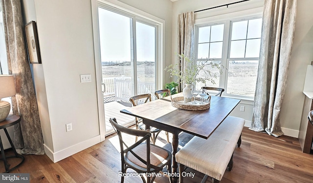 dining room featuring wood-type flooring