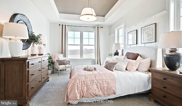 carpeted bedroom with a tray ceiling