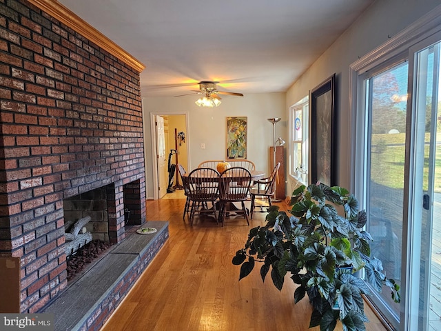 dining room featuring ceiling fan, a fireplace, and light hardwood / wood-style flooring