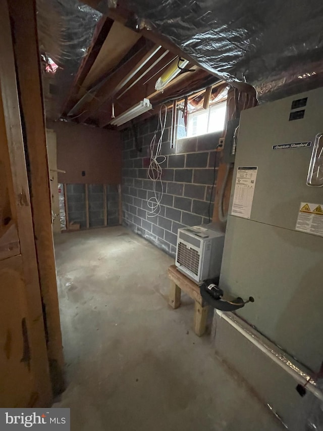 basement with heating unit