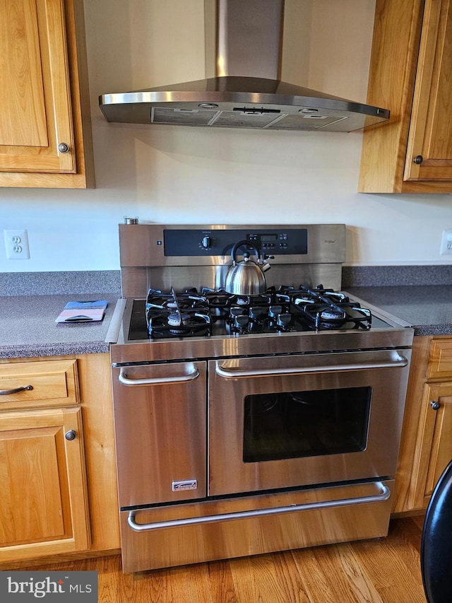 kitchen with ventilation hood and range with two ovens