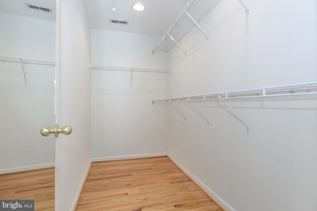 walk in closet featuring hardwood / wood-style flooring