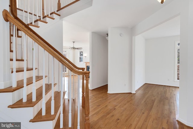 interior space featuring hardwood / wood-style flooring, ceiling fan, and a wealth of natural light