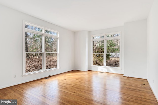 spare room with light hardwood / wood-style flooring and a healthy amount of sunlight