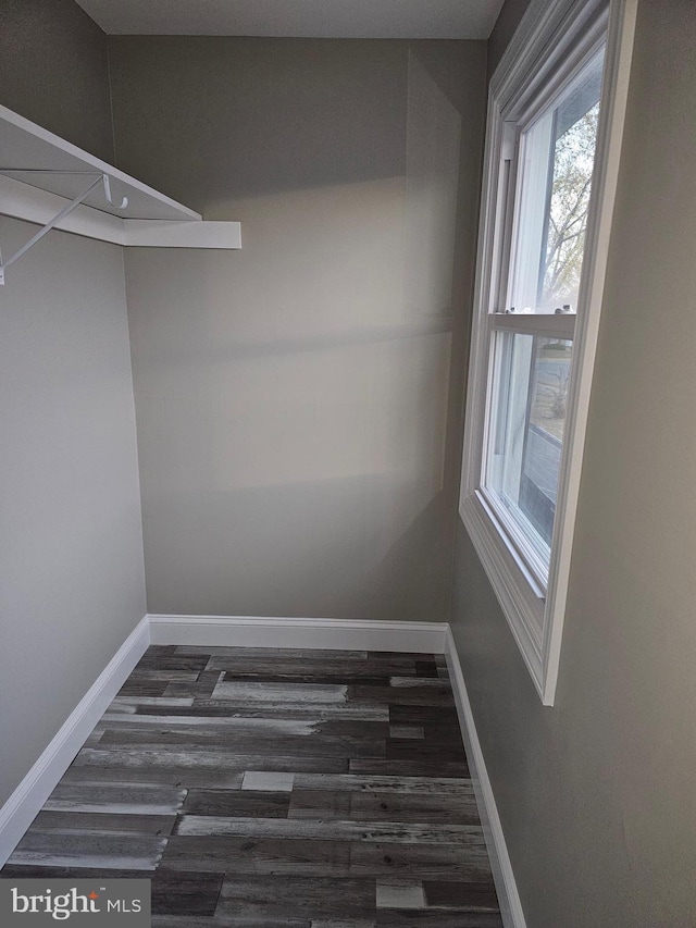 spacious closet featuring dark wood-type flooring