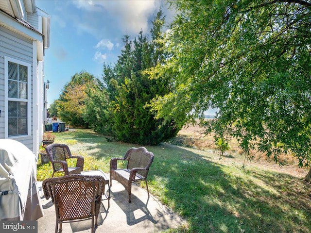 view of yard featuring a patio area